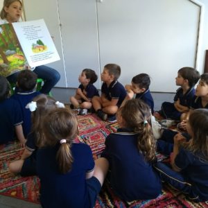 WhatsApp Image 2018-11-08 at 19.06.08 (1)