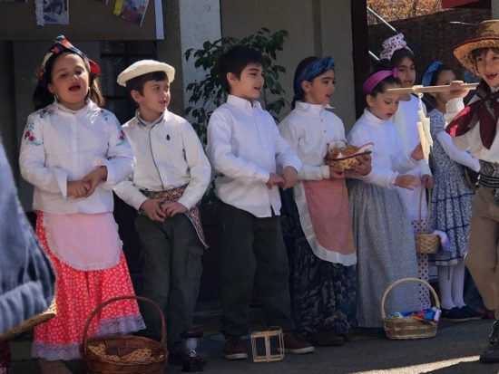 69519505_2350579601825224_8314892844938559488_o